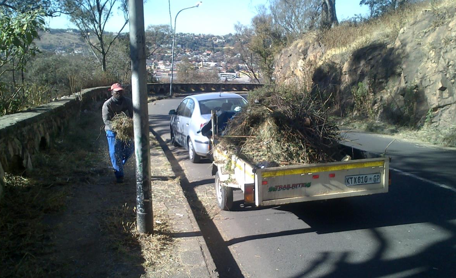 Stewart Drive during 2018 cleanup Richard Holden 1.png The